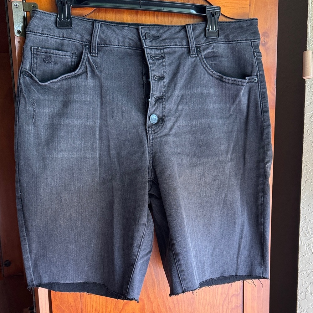 Time and Tru Women's Black Jean Shorts